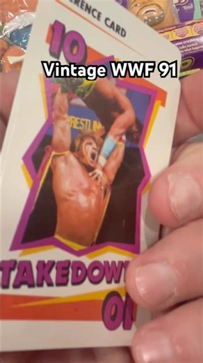 Vintage WWF 91