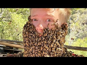 Surviving the MOST Extreme Experiences!