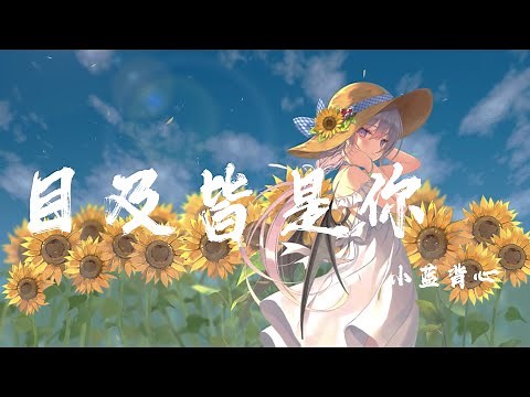 目及皆是你 - 小藍背心『我戒不掉你 像戒不了呼吸,漫長的距離 我用思念來代替』【動態歌詞】