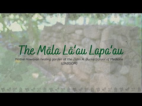 JABSOM Māla Lāʻau Lapaʻau