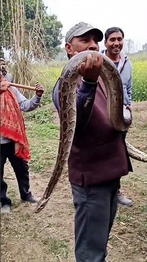 dangerous Python video 😱 #shorts