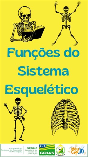 CEPI João Teodoro de Oliveira on Instagram: "🦴✨ Aula incrível no 6ºA com a professora Juliana Lemes! Tema: Funções do Sistema Esquelético 🧍‍♂️🧍‍♀️ Metodologia: Rotação por Estações 🔄 🎯 Objetivo: Compreender a importância do sistema esquelético para a sustentação, proteção, locomoção e hematopoiese. Os alunos participaram de diversas estações de aprendizagem, explorando o tema de forma interativa e colaborativa, descobrindo como o esqueleto é fundamental para o funcionamento do corpo humano.