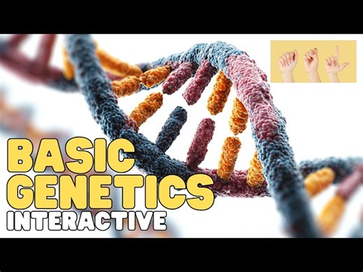 ASL Basic Genetics | Interactive - Videos For Kids