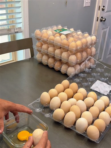 🥚✨ New look, same double-yolk surprise! We've updated our packaging, but inside you'll still find the big, fresh double-yolk eggs you love. 💛💛 INFO 18646850615 #TheBigEggs #DoubleYolkEggs #NewPackaging #SameGreatQuality #fresheggs