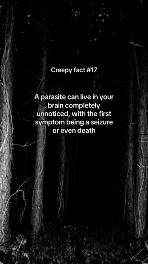Creepy Facts About Parasites in Your Brain