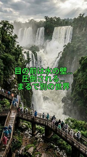 世界最大級の滝…イグアスの滝が別世界すぎる 🇧🇷 #イグアスの滝 #ブラジル #絶景 #海外旅行 #南米 #自然の力 #世界の絶景 #旅行好き #海外 #バズれ #おすすめ #fyp #shorts