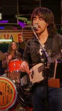 GUITAR SOLO BLASTS OFF #shorts #fyp #music #livemusic #guitarsolo #rock #psychrock #trending