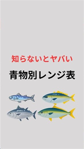 [Surf Fishing for Beginners] Fish surprisingly gather near the surface in summer surf 🐟 Keep in m...