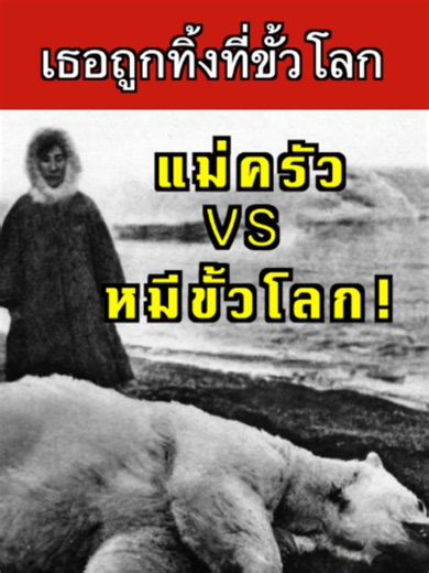 เธอไม่ควรรอด..Ada Blackjack #เรื่องแปลก #เรื่องจริง #creatorsearchinsights #คลังเรื่องลึกลับ