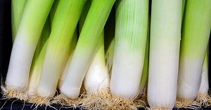 Comment bien congeler des poireaux ?
