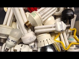 Compact Fluorescent Light Bulbs Box-o-Bulbs (Box 1)