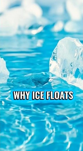 Why Ice Floats | Simple Science Explained #science #educationalscience