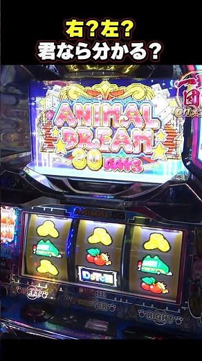 【Lアニマルスロットドッチ】これこそドッチの醍醐味！2択当てDOTCHでボーナスゲットなるか！