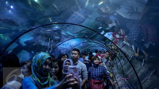 Harga Tiket Seaworld Ancol 2025, Panduan Lengkap Wisata Akuarium Terbesar