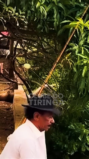 Clube do Tiringa on Reels