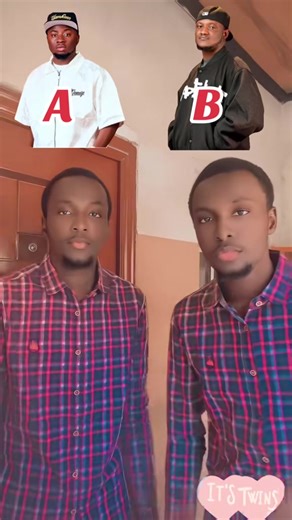 Portable Twins: A Must-See Experience!