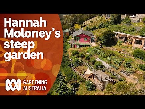 Hannah Moloney's progress creating her steep terrace garden | Garden Design | Gardening Australia