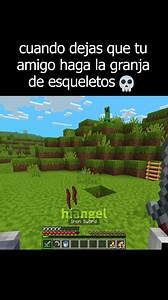 cuando dejas que tu amigo haga la granja de esqueletos 💀 #minecraft #minecraftmemes | HiAngeel