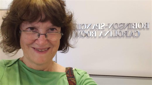 Liz Allen: What price can we put on our public library's Erie values and heritage?