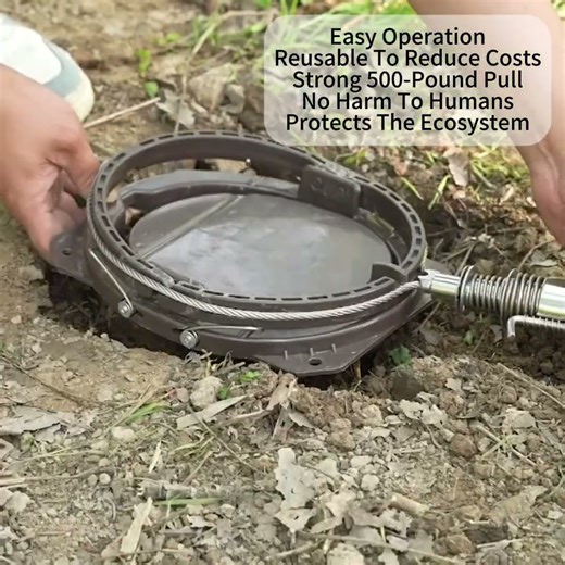 Wild Boar Hunting wild boar trap: Teaching You How to Trap Wild Boar-1