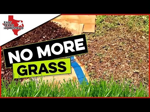 How To Kill Grass In Flower Bed Naturally
