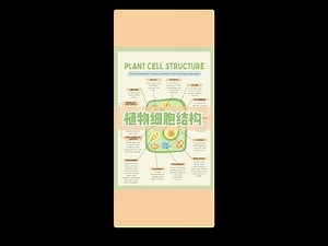 植物细胞的结构和功能 | Plant Cell Structure & Functions - 中英双语科普