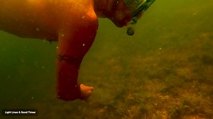 It's here! Scalloping season kicks off TODAY on Florida's Adventure Coast! ☀️ Spend your day snorkeling for fresh scallops along the coast of Hernando County, and create memories that will last a lifetime. Book your charter and get ready for some scalloping fun! #ScallopingSeason #FreshCatch #scallops #HernandoCounty #loveFL #Florida | Florida's Adventure Coast