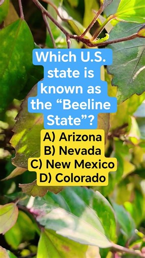 Which U.S. state is known as the “Beeline State”?