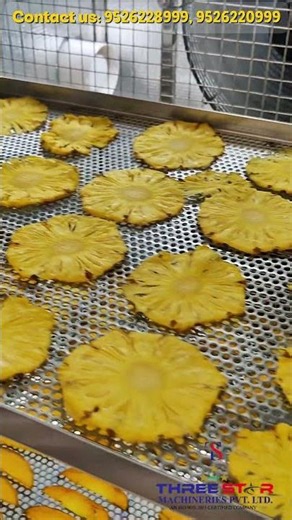 Air Pump Dehydrator | Pineapple & Mango Slice Drying Demo #agrothreestarmachineries #fypシ