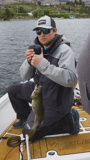 BC Outdoors Sport Fishing TV on Instagram: "NEW EPISODE ALERT! “Osoyoos Bass Showdown” – Get ready for an epic bass fishing battle on the stunning Osoyoos Lake! Filmed out of beautiful @watermarkresort on the sleek @gelexglobalgroup G5.2 by @boat.bliss.marine.canada , this episode features Mike and @kylerapalavmc from @rapalacanada alongside Rapala Pro Staff Scott McGill and local angler Shawn Smith. It’s a friendly but fierce competition—who will come out on top? 📺 Watch on: 🇨🇦 Sportsman Cha