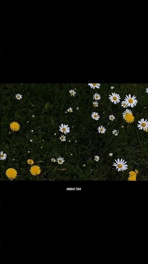Bulleya 🧿🌸 Aesthetic Lyrics || #aesthetic #status #viral #lyrics #vibes #trend #lovesong #music #yt