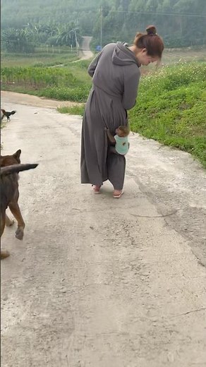 The little monkey ran out to greet its mother. #monkey 🥰🥰🍎🍇