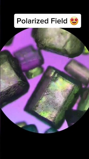 🧊Sugar Under (Brightfield, Dark field & Polarized Field) Microscope #microscope #amscope #science