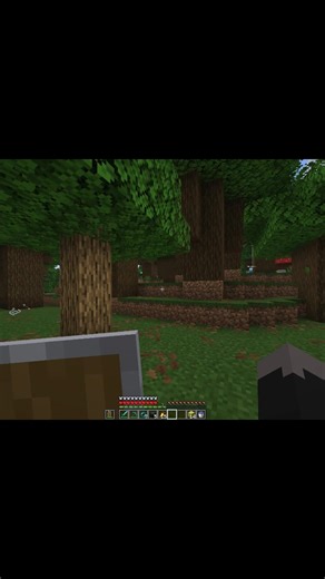 Me tomo una hora de mi vida hacer esta cochinada exodopure.serveminecraft.net #fyp #minecraft #server #anarquico