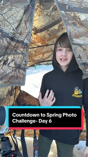 Day 6 of the countdown to spring photo challenge! #youngphotographer #wildlifephotographer #birdphotography #housesparrow #birdlovers