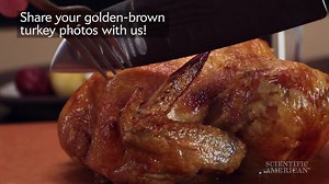 420K views · 743 reactions | This Thanksgiving, don’t settle for limp, soggy turkey skin—use science when you roast your bird to get that perfect, crackling bite. | Scientific American | Facebook