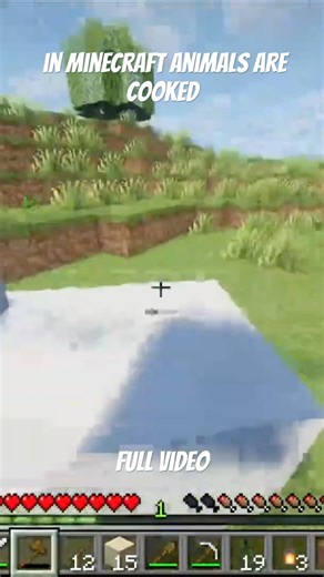 In Minecraft animals are cooked ￼￼