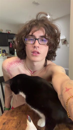 #kitty | kitty videos