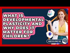 What Is Developmental Plasticity And Why Does It Matter For Children? - Brain Development Hub