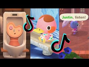 animal crossing tiktok memes i spent all my bells on