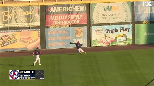 Jacob Young's incredible catch