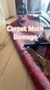 Check Under Your Rug… You Might Have This 😳
