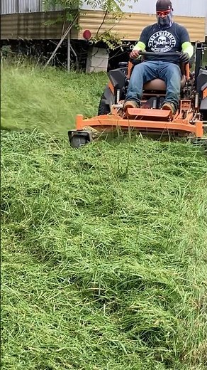 Mowing tall grass with the Scag Cheetah 2 #ridingmower #scagmower #lawnstripes
