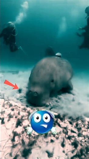 debug pani Gaye ☠️ #viralreels #funny #like #viral #facts #debug #tweetme