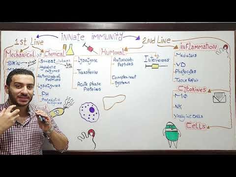 Innate Immunity