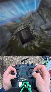 Entering that dive with speeed!🚀