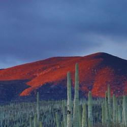 ...... - Descansa lyrics