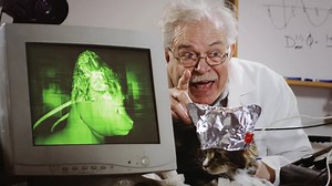 You won't believe what this cat can do! Amazing! | Progressive Auto Sales