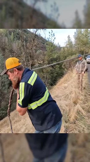 Understanding Truck Recovery: Insights and Experiences