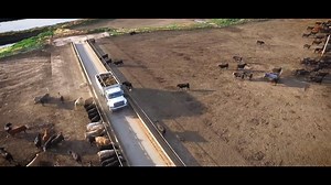 13K views · 271 reactions | "Taking care of cattle is what we do. We live for it. Cattle comfort is critical here. It's the right thing to do." - Scott Knobbe, Nebraska feedlot owner. | Nebraska Beef Council | Facebook